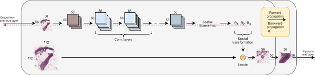 Figure 3 for Magnifying Networks for Images with Billions of Pixels