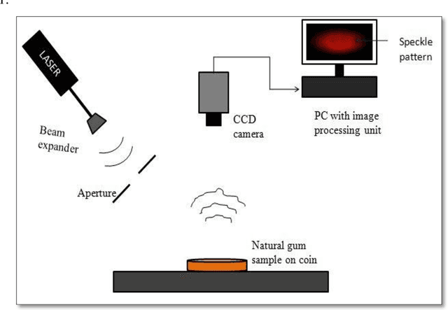 Figure 1 for Study of visual processing techniques for dynamic speckles: a comparative analysis