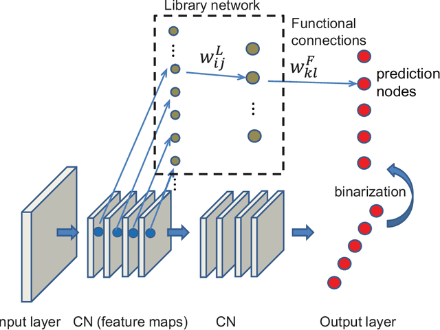 Figure 1 for Library network, a possible path to explainable neural networks