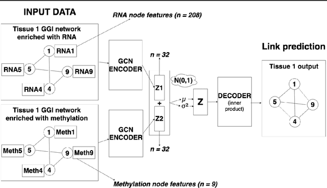 Figure 1 for Graph Representation Learning on Tissue-Specific Multi-Omics