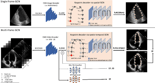 Figure 1 for Light-weight spatio-temporal graphs for segmentation and ejection fraction prediction in cardiac ultrasound