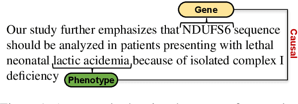 Figure 1 for Generic and Trend-aware Curriculum Learning for Relation Extraction in Graph Neural Networks