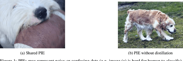 Figure 1 for Simon Says: Evaluating and Mitigating Bias in Pruned Neural Networks with Knowledge Distillation