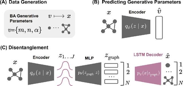 Figure 1 for Recovering Barabási-Albert Parameters of Graphs through Disentanglement