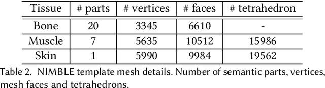 Figure 4 for NIMBLE: A Non-rigid Hand Model with Bones and Muscles