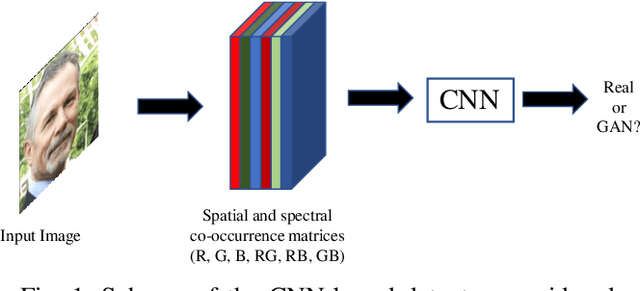 Figure 1 for CNN Detection of GAN-Generated Face Images based on Cross-Band Co-occurrences Analysis
