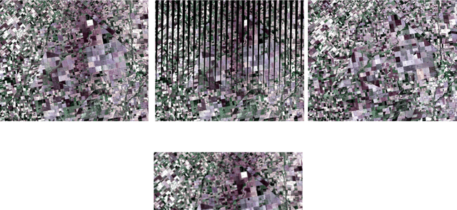 Figure 2 for Large gaps imputation in remote sensed imagery of the environment