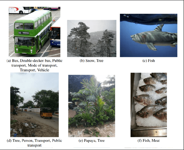 Figure 3 for Understanding Gender and Racial Disparities in Image Recognition Models