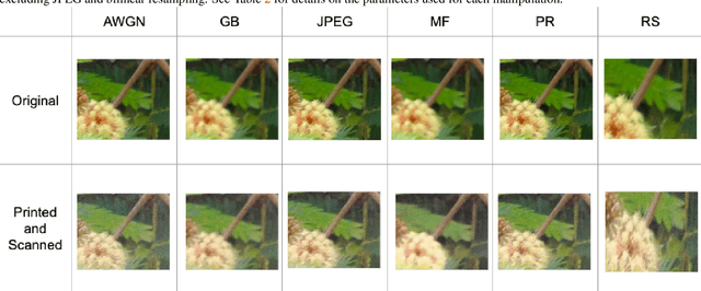 Figure 3 for Printing and Scanning Attack for Image Counter Forensics