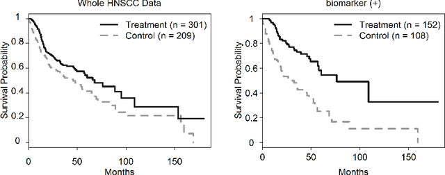 Figure 1 for Structural modeling using overlapped group penalties for discovering predictive biomarkers for subgroup analysis