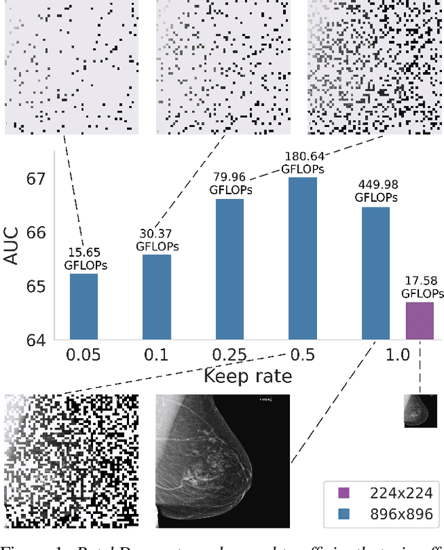 Figure 1 for PatchDropout: Economizing Vision Transformers Using Patch Dropout