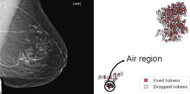 Figure 3 for PatchDropout: Economizing Vision Transformers Using Patch Dropout