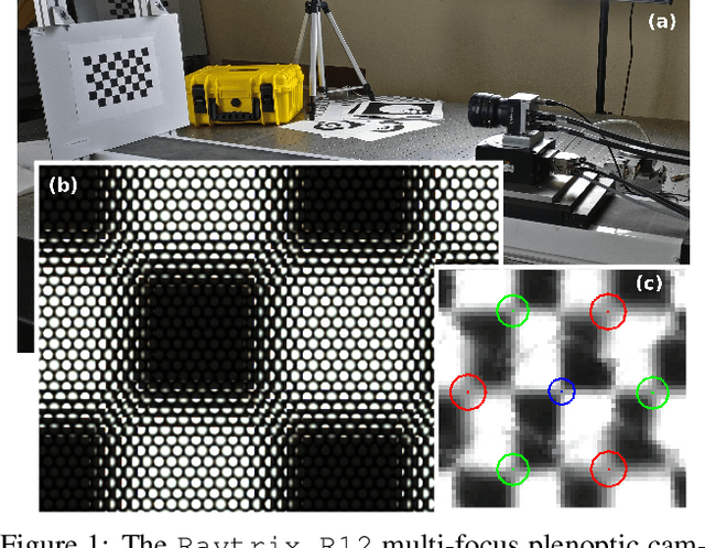 Figure 1 for Blur Aware Calibration of Multi-Focus Plenoptic Camera