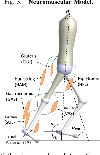 Figure 3 for Sample Efficient Optimization for Learning Controllers for Bipedal Locomotion