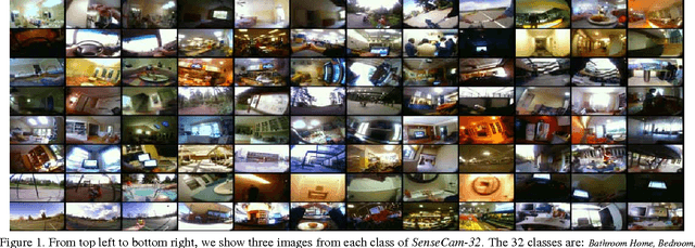 Figure 1 for In the sight of my wearable camera: Classifying my visual experience