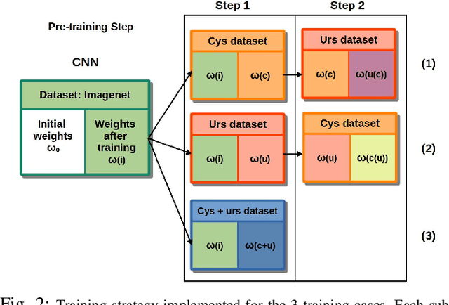 Figure 2 for A transfer-learning approach for lesion detection in endoscopic images from the urinary tract