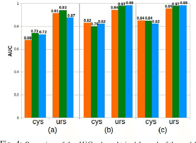 Figure 4 for A transfer-learning approach for lesion detection in endoscopic images from the urinary tract