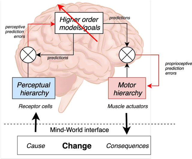 Figure 1 for Trust as Extended Control: Active Inference and User Feedback During Human-Robot Collaboration