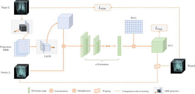 Figure 3 for LiftReg: Limited Angle 2D/3D Deformable Registration