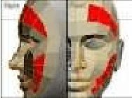 Figure 1 for Detection of pose orientation across single and multiple axes in case of 3D face images