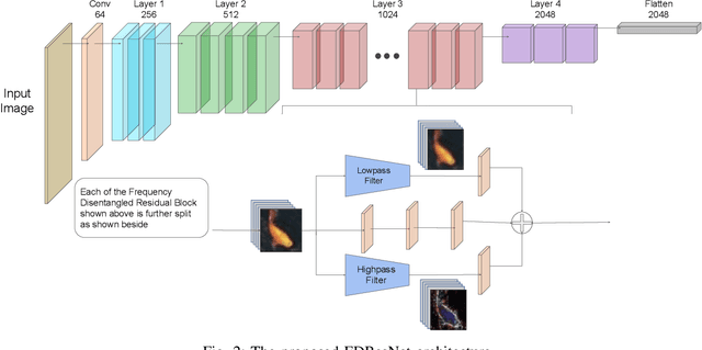 Figure 2 for Frequency Disentangled Residual Network