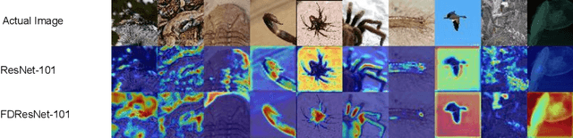 Figure 4 for Frequency Disentangled Residual Network