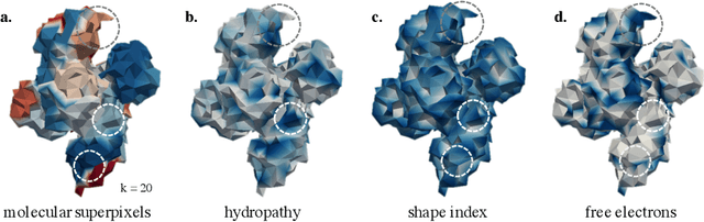 Figure 4 for Multi-Scale Representation Learning on Proteins