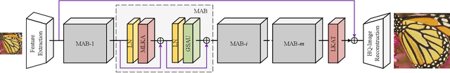 Figure 3 for Multi-scale Attention Network for Single Image Super-Resolution
