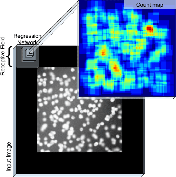 Figure 1 for Count-ception: Counting by Fully Convolutional Redundant Counting