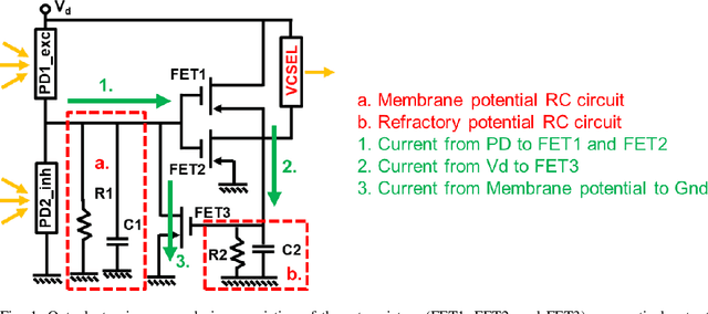 Figure 1 for Izhikevich-Inspired Optoelectronic Neurons with Excitatory and Inhibitory Inputs for Energy-Efficient Photonic Spiking Neural Networks