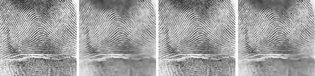 Figure 3 for Anisotropic Diffusion in ITK