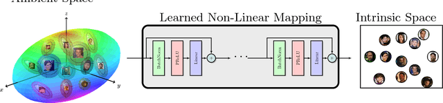 Figure 4 for On the Intrinsic Dimensionality of Face Representation