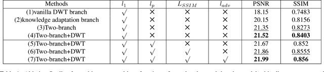 Figure 1 for DW-GAN: A Discrete Wavelet Transform GAN for NonHomogeneous Dehazing