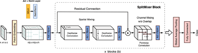 Figure 3 for SplitMixer: Fat Trimmed From MLP-like Models