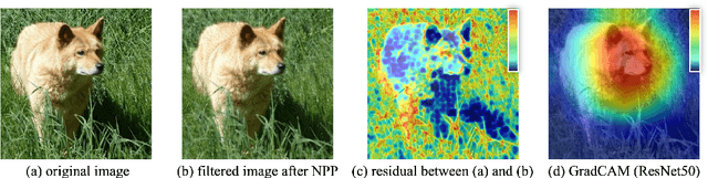 Figure 4 for Preprocessing Enhanced Image Compression for Machine Vision