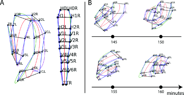 Figure 1 for A Semi-automatic Cell Tracking Process Towards Completing the 4D Atlas of C. elegans Development