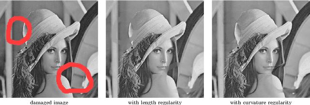 Figure 2 for A linear framework for region-based image segmentation and inpainting involving curvature penalization