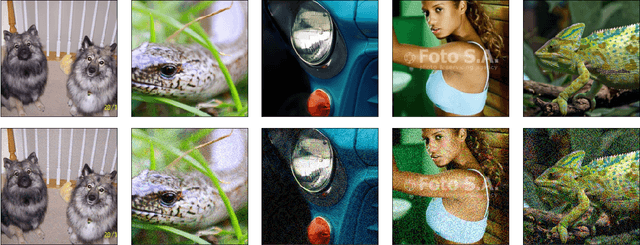Figure 1 for Thundernna: a white box adversarial attack
