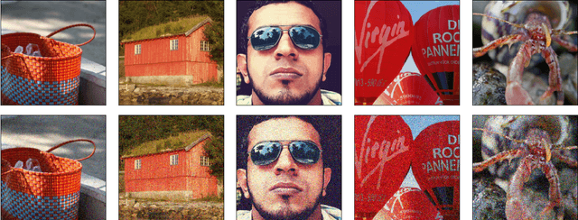 Figure 2 for Thundernna: a white box adversarial attack