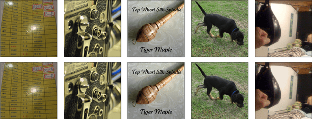 Figure 3 for Thundernna: a white box adversarial attack