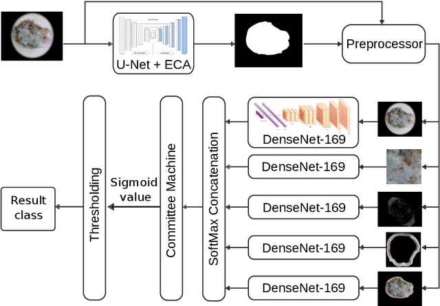 Figure 1 for Minimizing false negative rate in melanoma detection and providing insight into the causes of classification