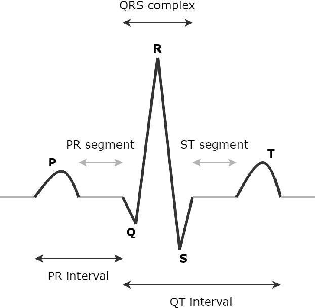 Figure 2 for LightX3ECG: A Lightweight and eXplainable Deep Learning System for 3-lead Electrocardiogram Classification