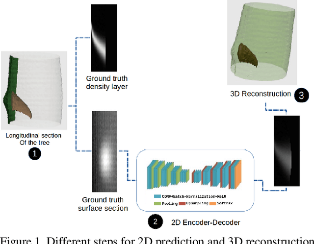 Figure 1 for A Study on Trees's Knots Prediction from their Bark Outer-Shape