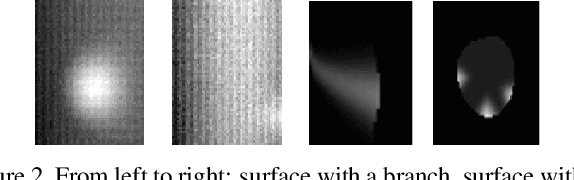 Figure 3 for A Study on Trees's Knots Prediction from their Bark Outer-Shape