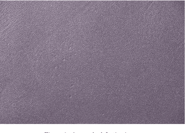 Figure 1 for Automatic Defect Segmentation on Leather with Deep Learning