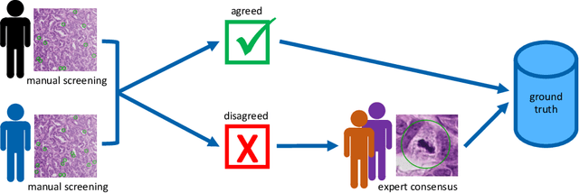 Figure 1 for Are pathologist-defined labels reproducible? Comparison of the TUPAC16 mitotic figure dataset with an alternative set of labels