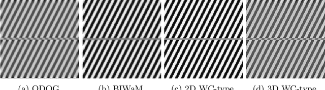 Figure 4 for A cortical-inspired model for orientation-dependent contrast perception: a link with Wilson-Cowan equations