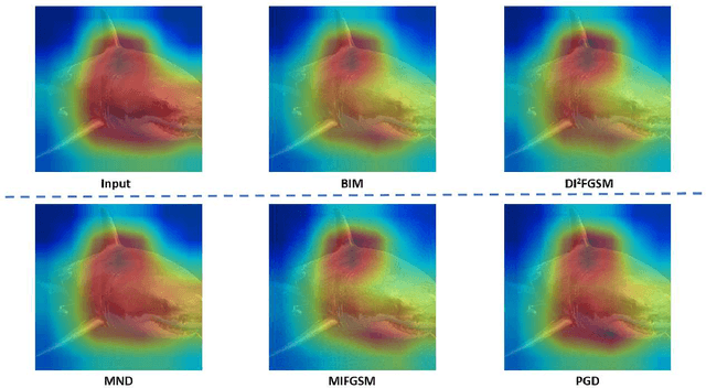 Figure 3 for Minimum Noticeable Difference based Adversarial Privacy Preserving Image Generation