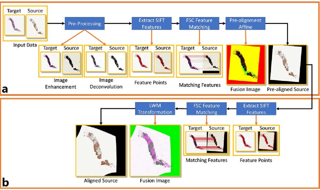 Figure 1 for Automatic Multi-Stain Registration of Whole Slide Images in Histopathology