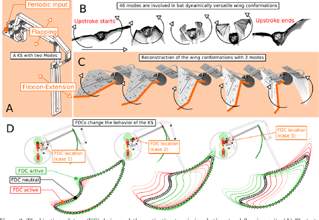 Figure 2 for Orientation stabilization in a bioinspired bat-robot using integrated mechanical intelligence and control